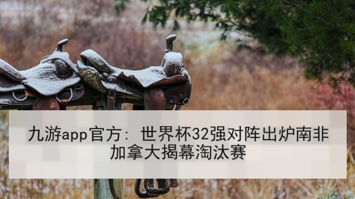 九游app官方: 世界杯32强对阵出炉南非加拿大揭幕淘汰赛 九游app官方: 世界杯32强对阵出炉南非加拿大揭幕淘汰赛
