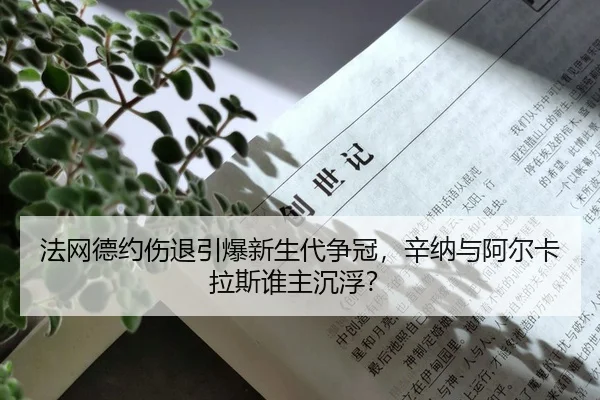 fa-wang-de-yue-shang-tui-yin-bao-xin-sheng-dai-zheng-guan-xin-na-yu-a-er-ka-la-si-shui-zhu-chen-fu-2-971.jpg