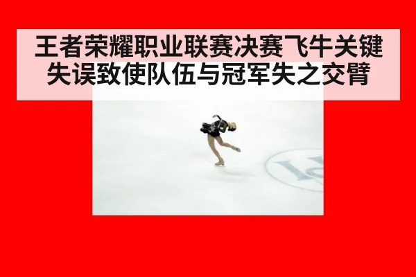 王者荣耀职业联赛决赛飞牛关键失误致使队伍与冠军失之交臂