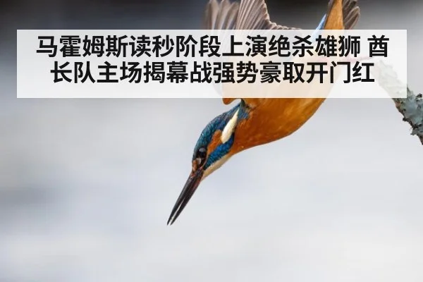 马霍姆斯读秒阶段上演绝杀雄狮 酋长队主场揭幕战强势豪取开门红